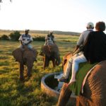 elephant rides at Kwantu game reserve