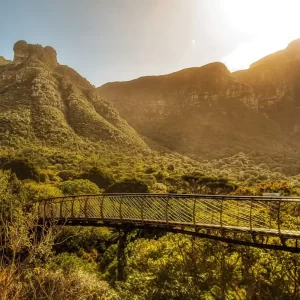 Kirstenbosch botanical gardens