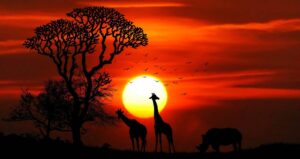 SANPARKS