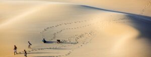 Dunes in Port Elizabeth