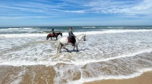 Horse riding on the beach in Jeffereysbay